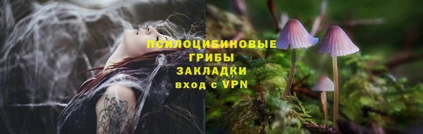 2c-b Лагань