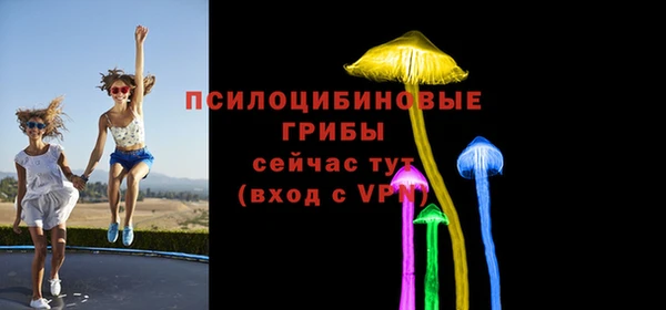 дмт Ладушкин