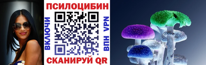 гидра вход Юрга Галлюциногенные грибы Cubensis наркотики