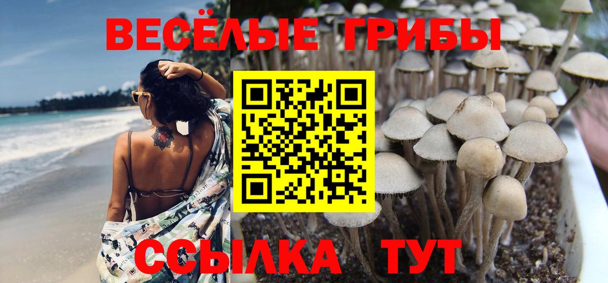 Купить наркотики  Юрга  Вход с VPN  МДМА  МЕТАДОН  ГАШ  Меф кристаллы  МЕТ  NBOMe  Alpha-PVP СК   Конопля 