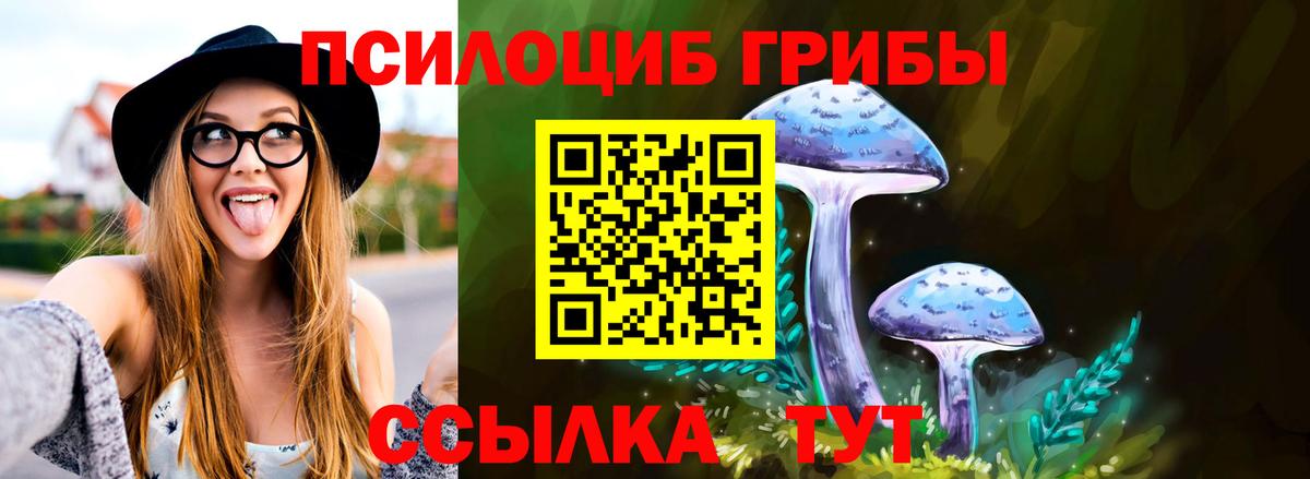 Юрга  Галлюциногенные грибы мицелий  Галлюциногенные грибы ЛСД  Вход с VPN 
